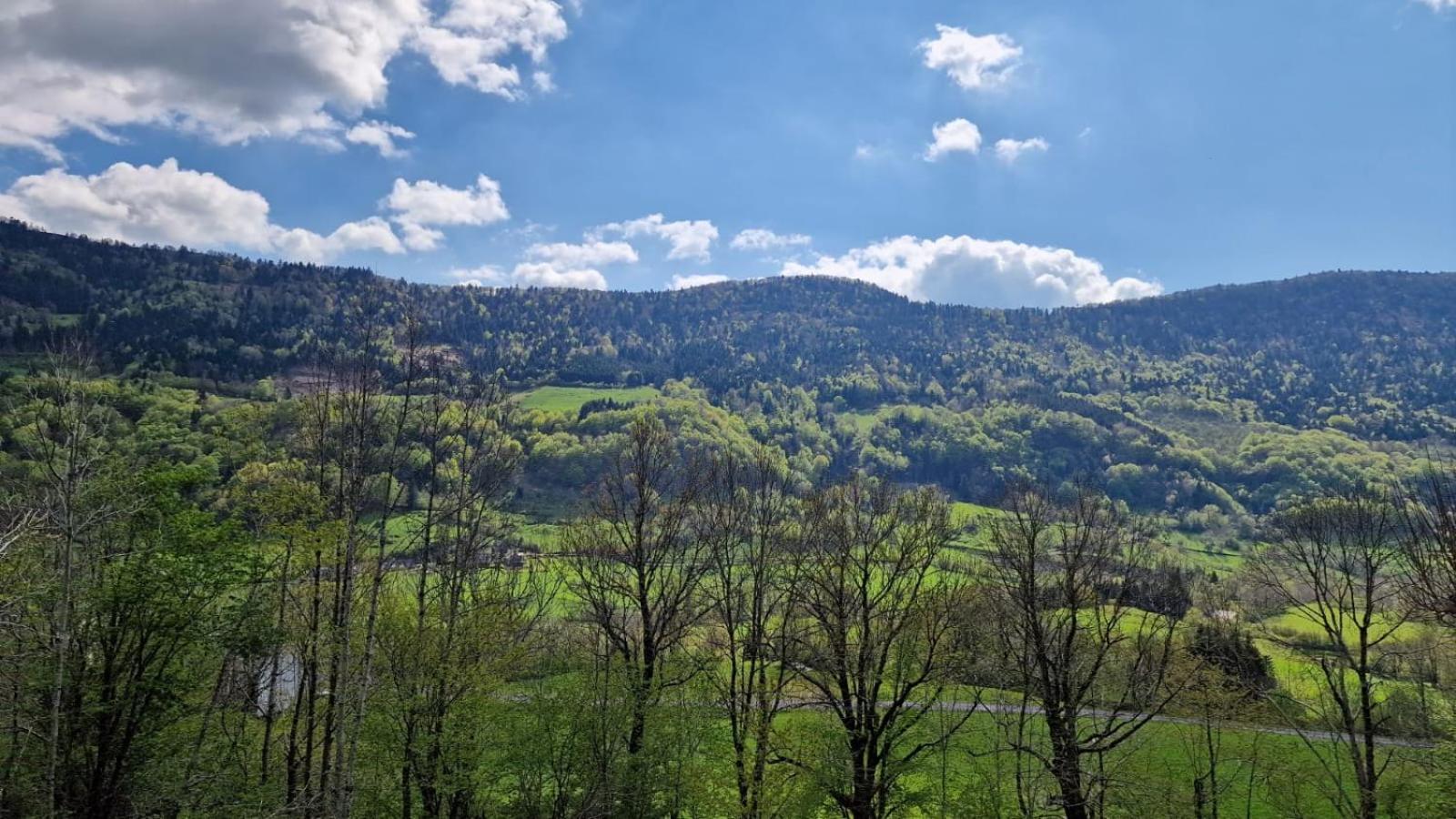 La Gentiane Bed & Breakfast Le Falgoux Екстериор снимка